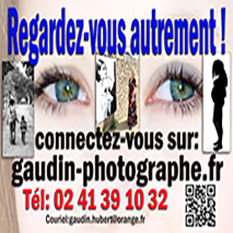 Hubert Gaudin