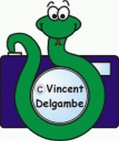 Vincent Delgambe