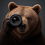 la focale de l'Ours