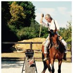 Picador
