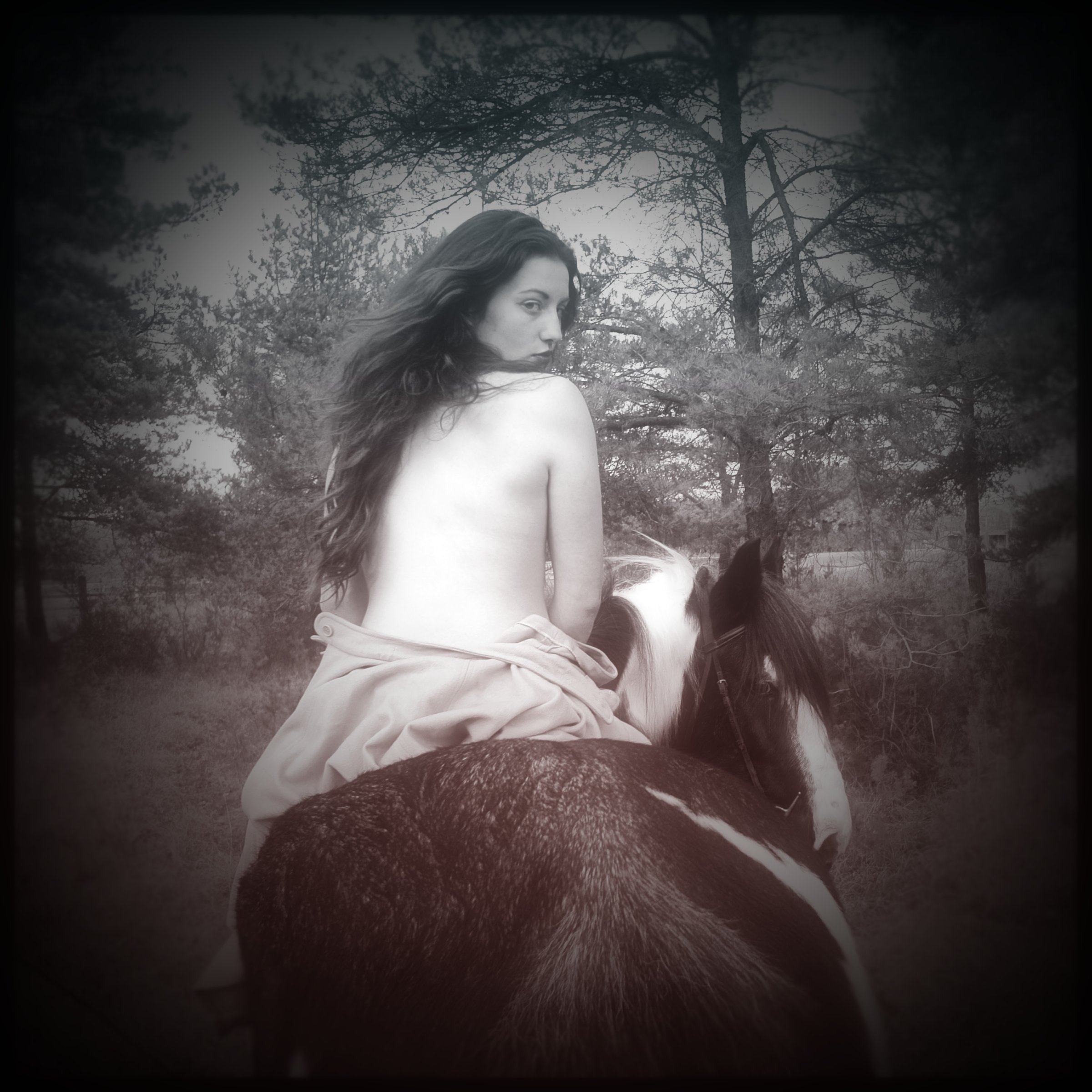 Hermine