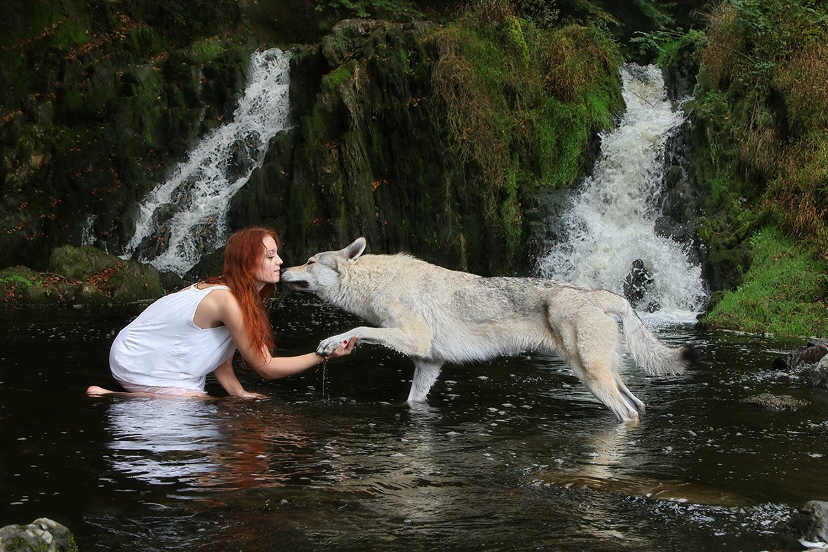 Photo