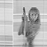 01BW3CS2M8848AJD9PT72DFJBE