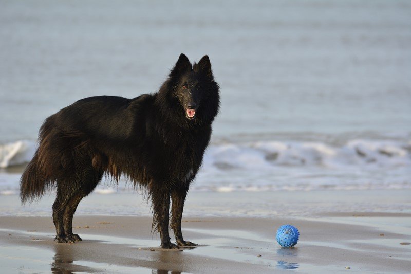 Hélysse a la plage en décembre