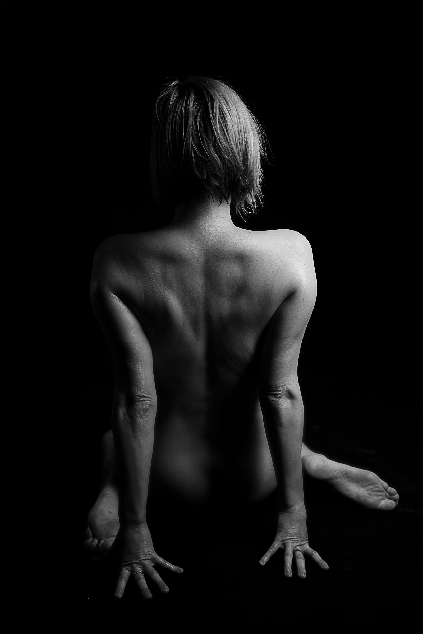 cavince__P9A0045