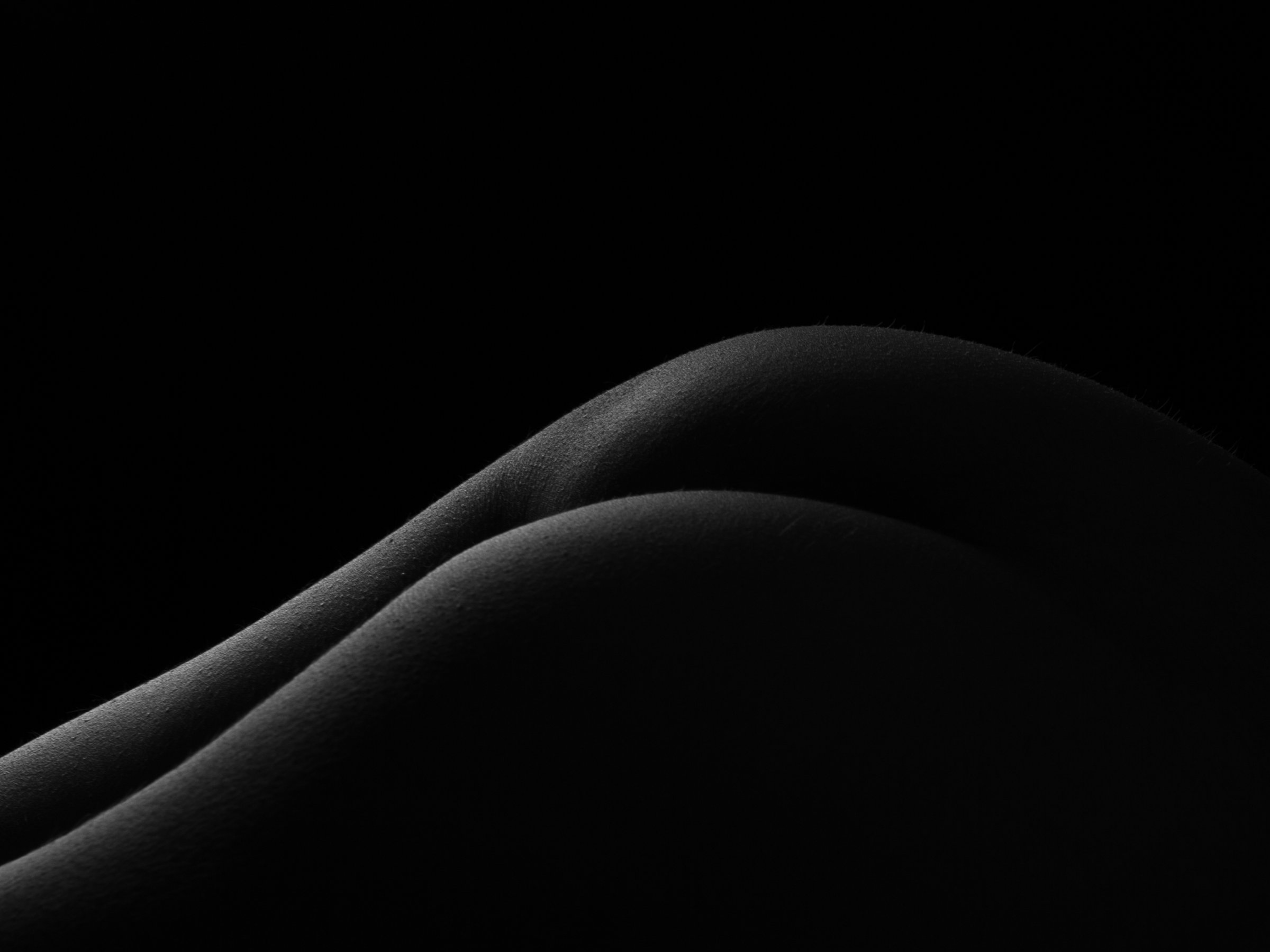 DIANA1