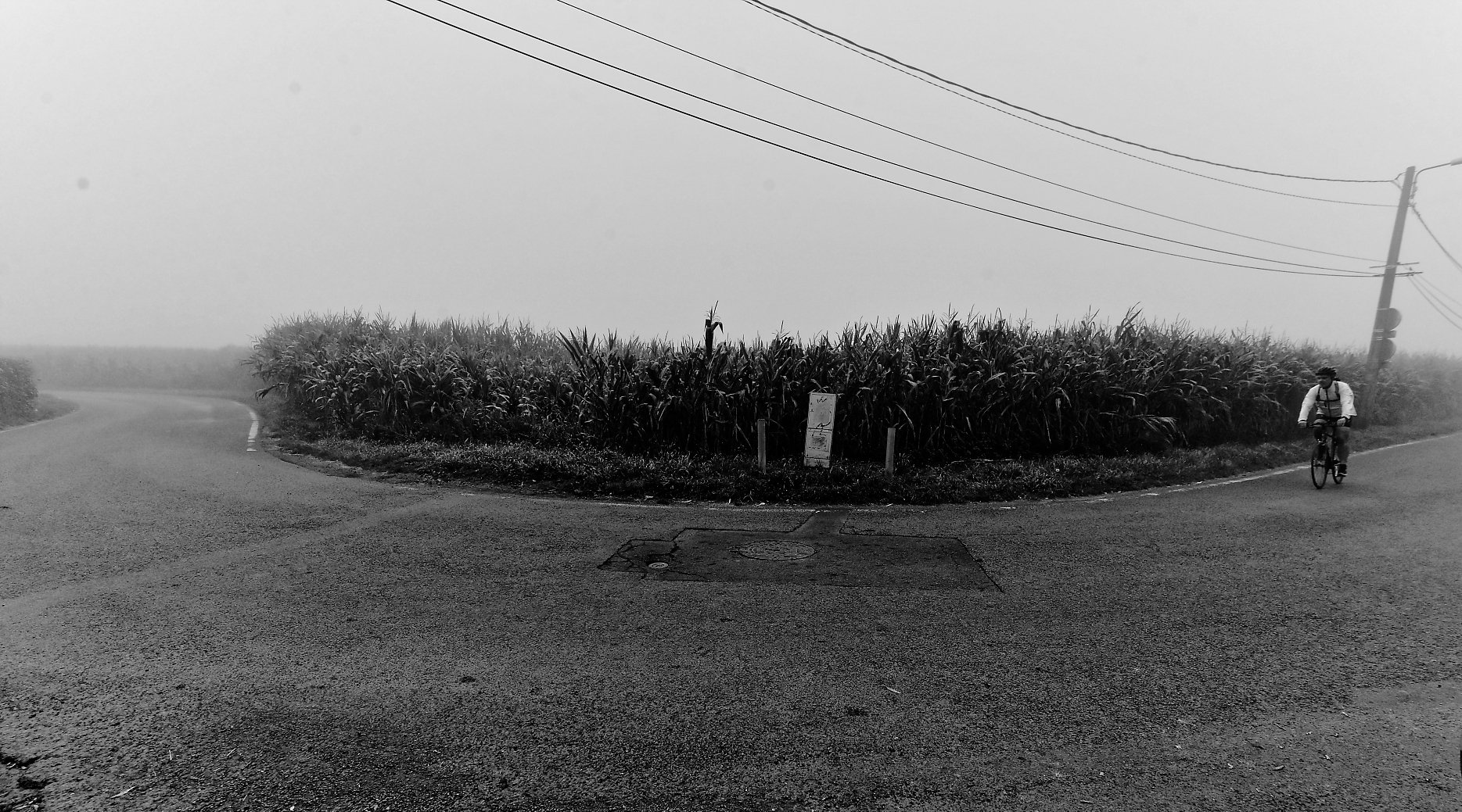 Paysages