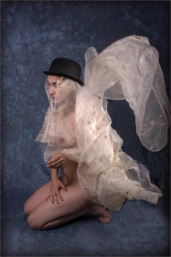 Papillon II