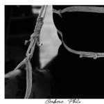 CerberePhoto_20260728_193613