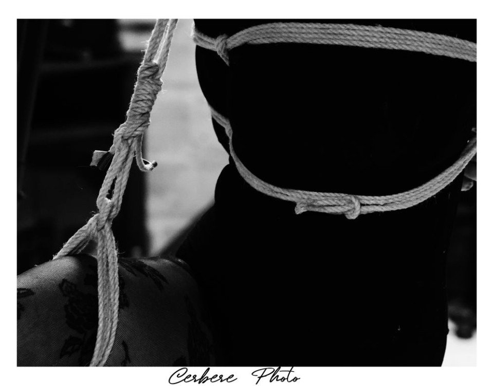 CerberePhoto_20260728_193613