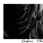CerberePhoto_120260728194737