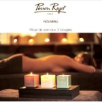 salon Perron Rigot